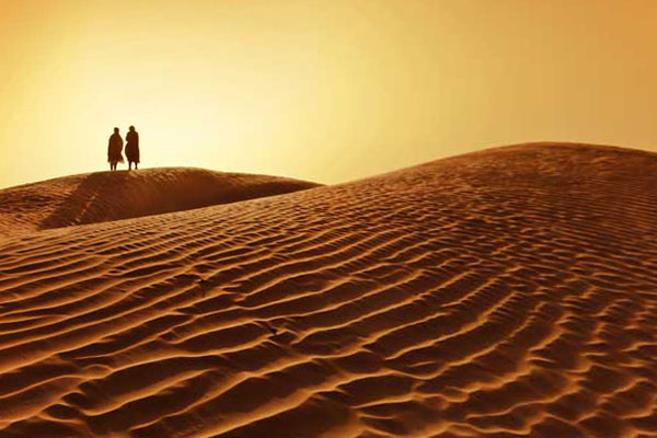 знойная пустыня Сахара
