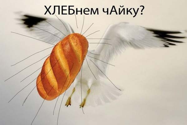Хлебнём чайку? Смешная картинка