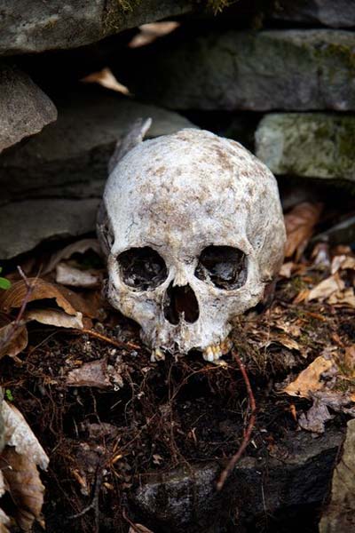 череп найденный в Лесо-Кефари