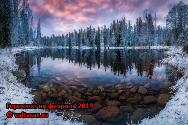 зимний лес в феврале