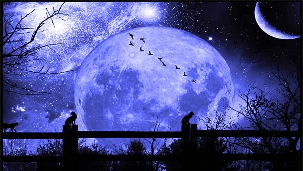 птицы на фоне фиолетовой луны