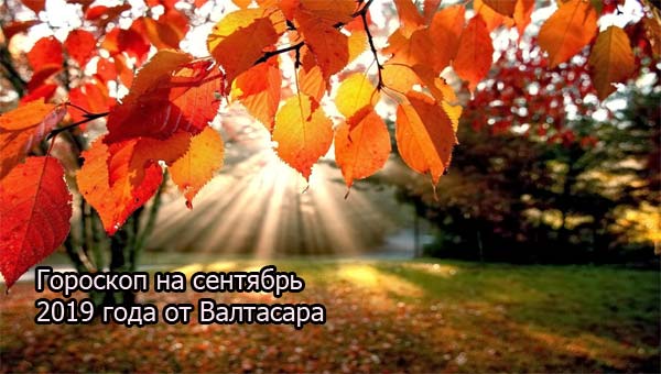 деревья в багрянце