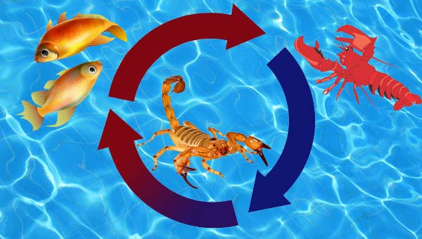 Знаки стихии Вода: Рак, Рыбы и Скорпион