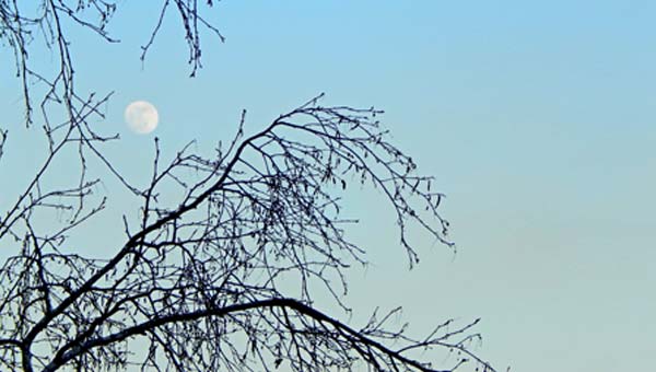 Фазы луны январьг. Что можно ждать от полнолуния