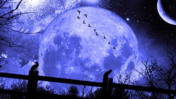 огромная Луна и стайка птиц