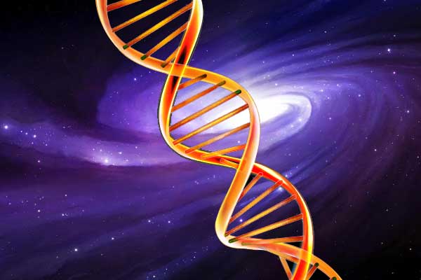 ДНК на фоне Вселенной