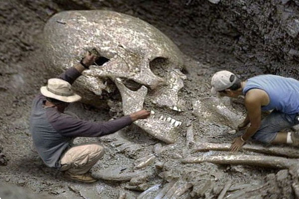 скелет гиганта, обнаруженный в пустыне Гоби