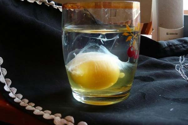 куриное яйцо в стакане