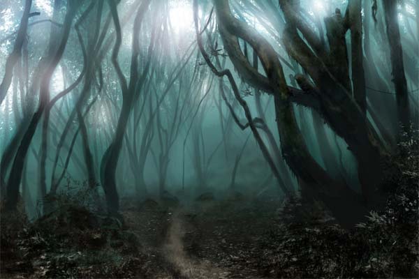 Ведьмин лес - мрачные деревья, туман