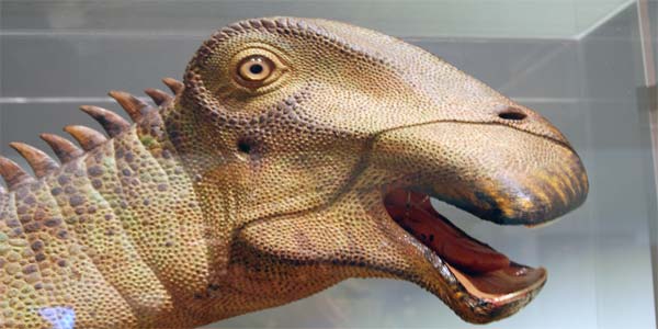 У какого динозавра 500 зубов мем в чем прикол