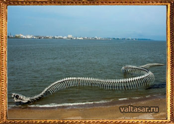 скелет гигантского морского змея