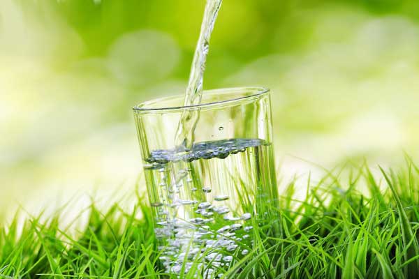 стакан воды на траве