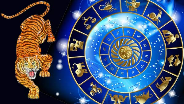 астрологический круг и фигурка тигра