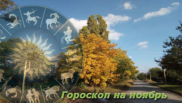 деревья осенью