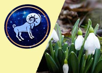 21 апреля овен гороскоп