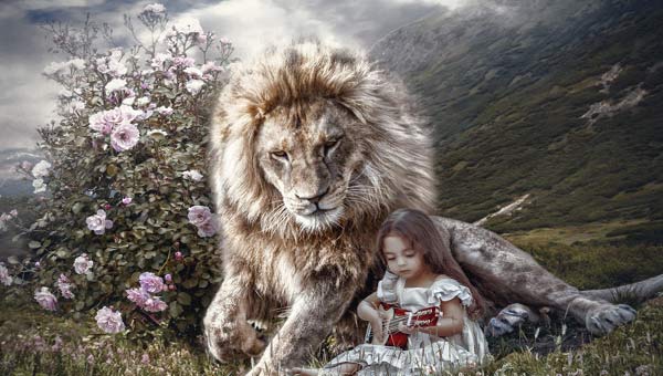 лев, цветущий куст и девочка