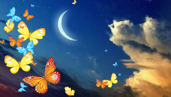 молодая Луна в небе и бабочки