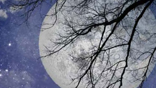 огромная Луна в ночном небе