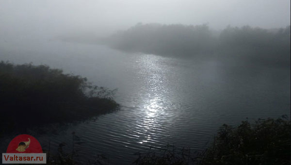туман над рекой