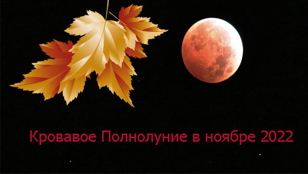 кровавая Луна и кленовый лист
