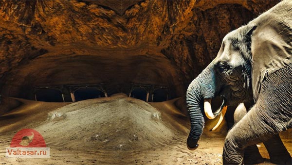 слон ищет выход из пещеры