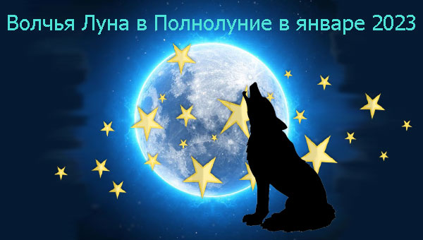 волк, луна и звезды