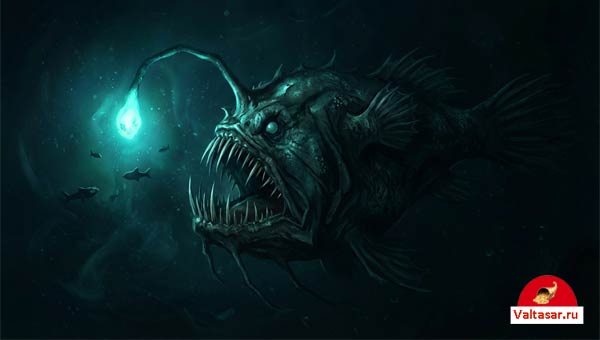 Глубоководный удильщик включил свой фонарик